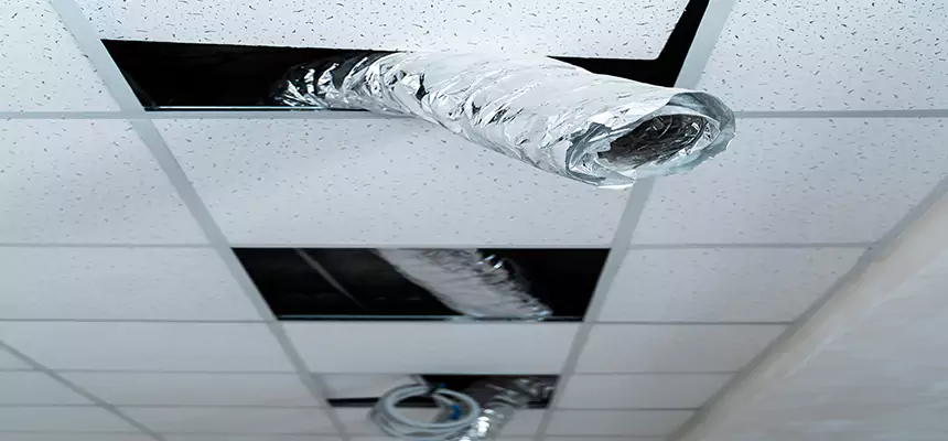 Affordable HVAC Sanitizing After Pest Removal in Fairborn