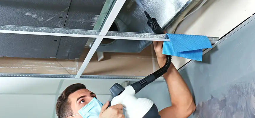 Our Air Duct Rodent Removal Services in Fairborn, OH