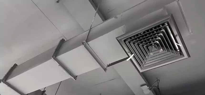 Our Rodent Droppings In Vents Services in Fairborn, OH