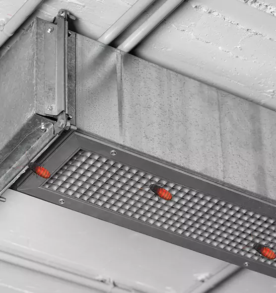 Affordable Insect Removal from Air Ducts in Fairborn, OH
